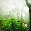 Bixi - Natural