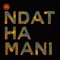 Ndathamani (feat. Gaone Rantlhoiwa) - P.M Project lyrics
