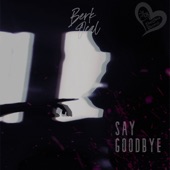 Say Goodbye artwork