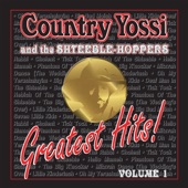Country Yossi & the Shteeble-Hoppers: Greatest Hits, Vol. 1 artwork