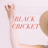 Davia - Black Cricket