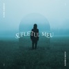 Sufletul Meu - Single