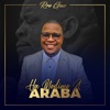 Ha Modimo a Araba - Single