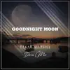 Goodnight Moon (Dance Mix) - Single album lyrics, reviews, download