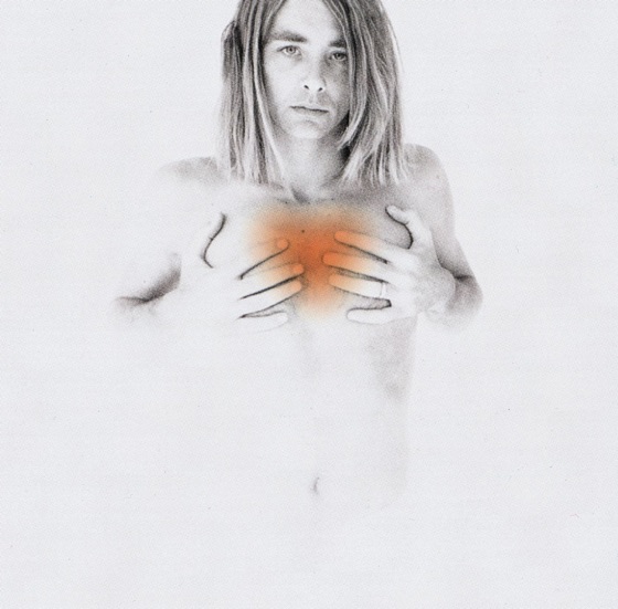 Cover artwork for Everyone's a Star