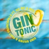 Gin Tonic (Think About the Way) [feat. Ice Mc & Vise] - Single