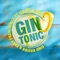 Gin Tonic (Think About the Way) [feat. Ice Mc & Vise] artwork