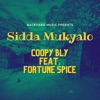 Sidda Mukyalo (feat. Fortune Spice) - Single