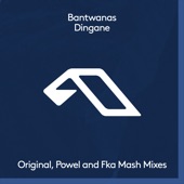 Dingane (Extended Mix) artwork
