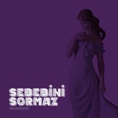 Sebebini Sormaz artwork