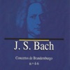 J.S. Bach Concertos de Brandemburgo No. 4 - 6 artwork