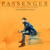 Passenger - Sword from the Stone - Single artwork