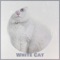 Take Our Time - Cary Kanno lyrics