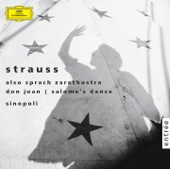 Richard Strauss: Also sprach Zarathustra - Don Juan - Salome's Dance artwork
