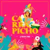 Carrapicho - Single album lyrics, reviews, download