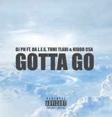 Gotta Go (feat. Da L.E.S, Tumi Tladi & Kiddo CSA) artwork