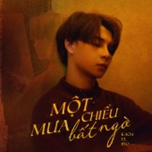 Một Chiều Mưa Bất Ngờ artwork