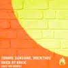 Brick by Brick (Valy Mo Remix) - Single album lyrics, reviews, download