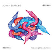 Meetings - Adrien Brandeis