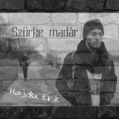 Szürke madár artwork