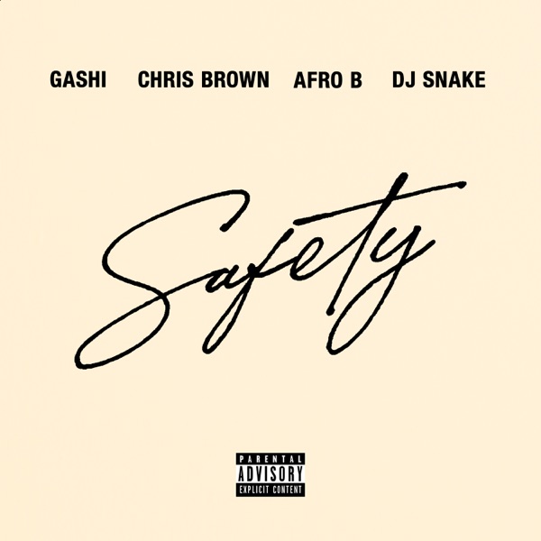 Safety 2020 (feat. DJ Snake, Chris Brown & Afro B) - Single - GASHI