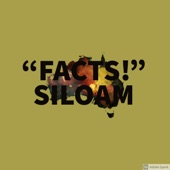 S/Loam - FACTS!