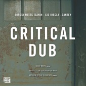 Critical Dub - EP artwork