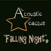 Acoustic Cactus - My First Waltz