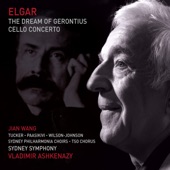 Cello Concerto in E Minor, Op. 85: 2. Lento - Allegro molto artwork