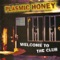 The Funeral - Plasmic Honey lyrics