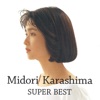 Midori Karashima - 美しい地球