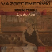 Vazgeçemedimki Senden artwork