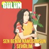 Sen Benim Namusumsun Sevgilim - Single