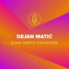 Dejan Matić (Zlaja Timotić Collection)