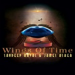 Sandeep Raval & James Asher - Wings of Time