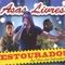 Bola e Rebola (feat. Leo Santana) - Asas Livres lyrics