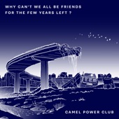 Why Can't We All Be Friends for the Few Years Left ? - EP artwork