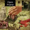 Stream & download Open Prairie - Single