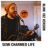 Semi Charmed Life artwork