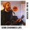 Semi Charmed Life artwork