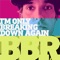I'm Only Breaking Down Again (Did I Offend You) - Bombay Beach Revival lyrics