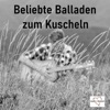 Beliebte Balladen zum Kuscheln