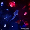 Space on Earth EP