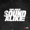 Sound Alike song lyrics