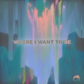 Where I Want to Be artwork