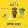 Stream & download Salty (Brotech Remix)