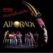 Transfusión. Andean Music of Perú artwork