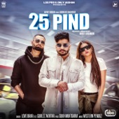 25 Pind (feat. Gurlej Akhtar) artwork