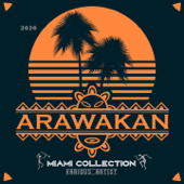 Arawakan Miami Collection 2020 - Multi-interprètes