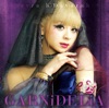 GARNiDELiA